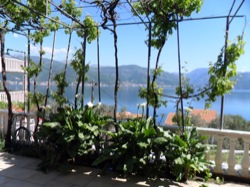 Lower terrace view